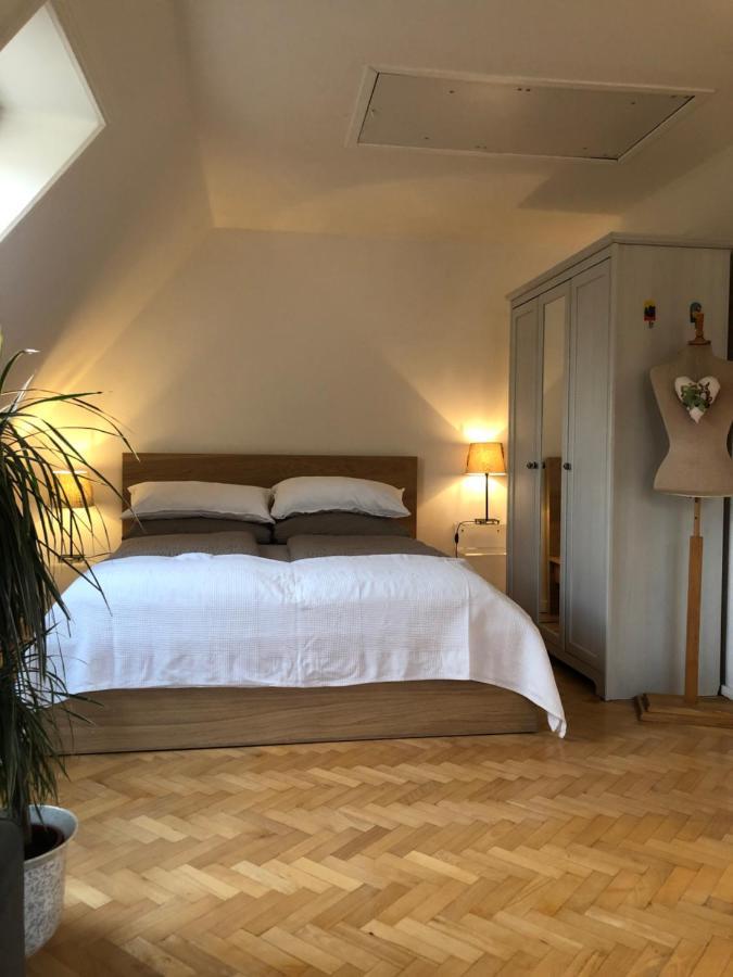 שרבאוץ Appartement Im Gruenen מראה חיצוני תמונה